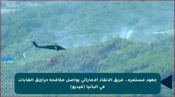 جهود مستمرة.. فريق الإنقاذ الإماراتي يواصل مكافحة حرائق الغابات في ألبانيا (فيديو)